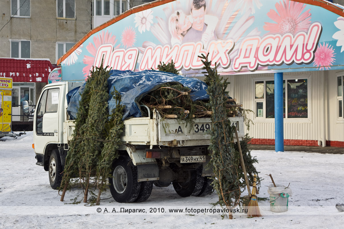 Фотография: елочный базар в городе Петропавловске-Камчатском, микрорайон "Силуэт"