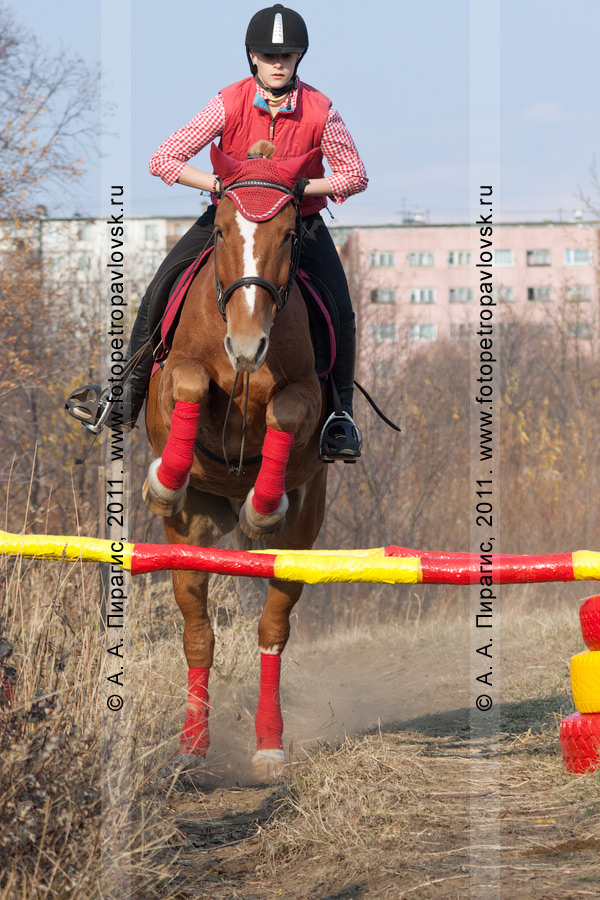 Фотография: конный спорт на Камчатке. Прыжок через препятствие. Плац в городе Петропавловске-Камчатском