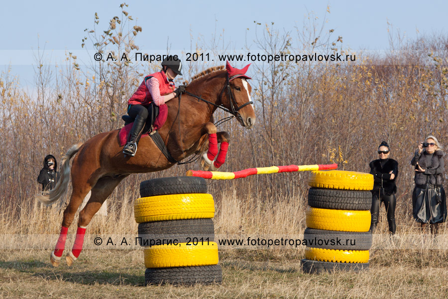 Фотография: конный спорт в Петропавловске-Камчатском. Прыжок через препятствие
