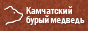 Медведи полуострова Камчатка