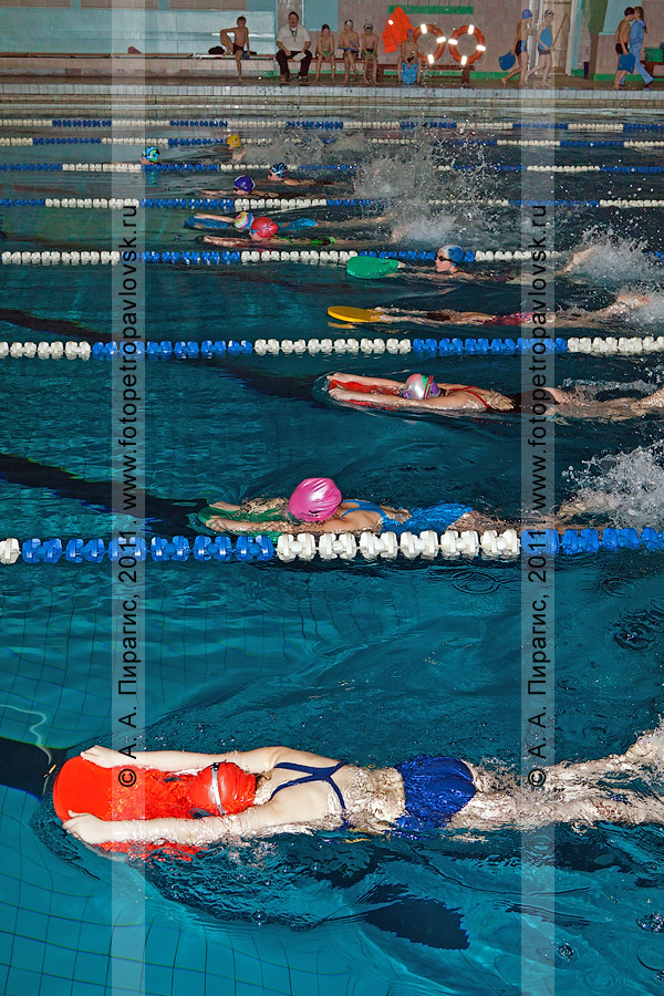 Фотография: соревнования по плаванию — 50 метров на ногах вольным стилем. Детские старты на воде "Веселые осьминожки". Петропавловск-Камчатский, КГАОУДОД "СДЮСШОР по плаванию"