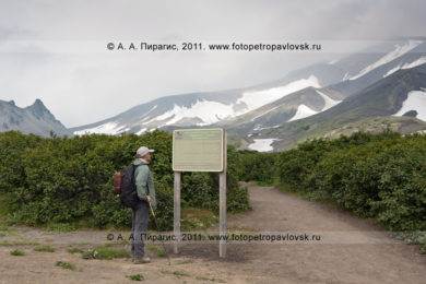 Фотография Авачинского перевала, начало туристического маршрута на вершину Авачинского вулкана на Камчатке
