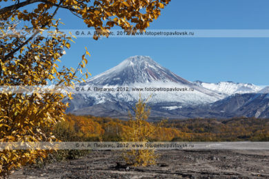 фотографии действующего Авачинского вулкана в Камчатском крае