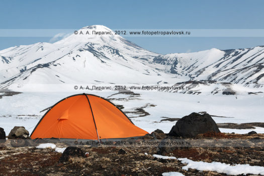 Фотография: оранжевая туристическая палатка у подножия Авачинского вулкана на полуострове Камчатка