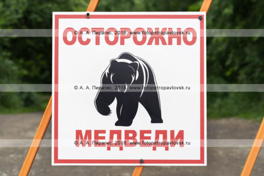 Камчатский предупреждающий знак «Осторожно медведи»
