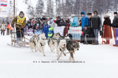 Традиционная камчатская гонка на собачьих упряжках "Берингия"