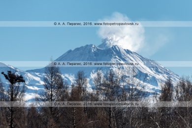 Фотография: зимний пейзаж полуострова Камчатка — действующий вулкан Безымянная сопка, или вулкан Безымянный в Ключевской группе вулканов