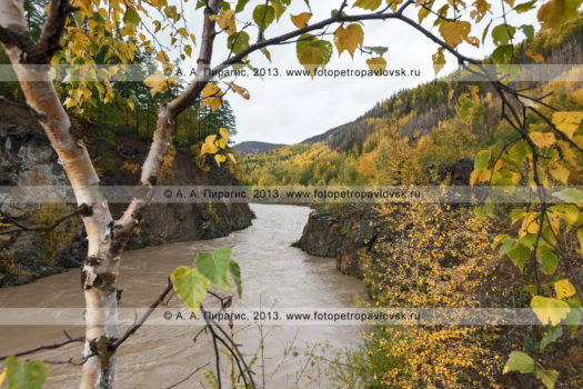 Фотографии реки Быстрой (Эссовская) на полуострове Камчатка