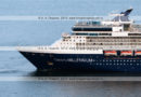 Фотографии круизного лайнера Celebrity Millennium в Авачинкой губе на полуострове Камчатка, в Петропавловск-Камчатском морском торговом порту.