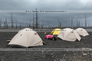 Фотография: туризм на полуострове Камчатка — туристические палатки, установленные на вулканическом шлаке в Мертвом лесу в районе Большого трещинного Толбачинского извержения (БТТИ)