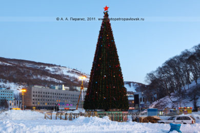 Фотографии главной новогодней елки Камчатки в городе Петропавловске-Камчатском