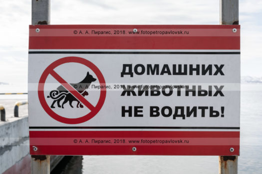 Фотография таблички: "Домашних животных не водить!"