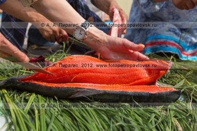 фотографий конкурса по разделке красной рыбы во время праздника День первой рыбы на полуострове Камчатка