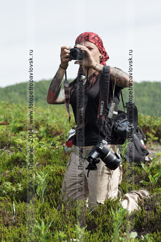 Девушка-туристка фотографирует на лоне дикой природы полуострова Камчатка