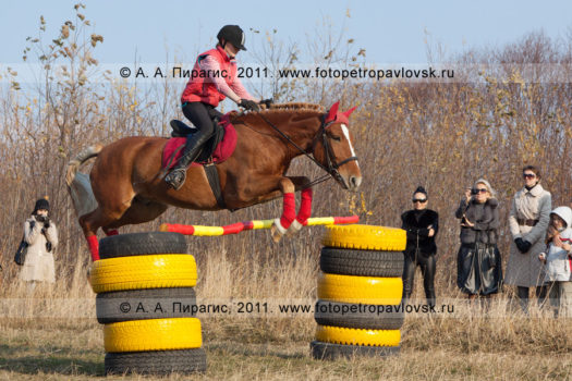 Спортивный фоторепортаж: конный спорт на Камчатке, фотографии соревнований по конному спорту в городе Петропавловске-Камчатском