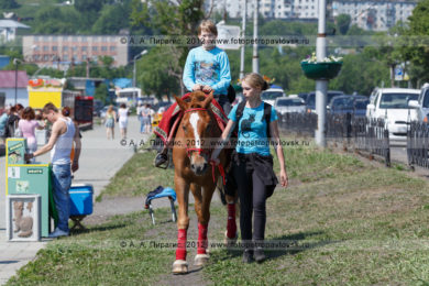 Фотографии: конная прогулка по газонам на Озерновской косе в городе Петропавловске-Камчатском