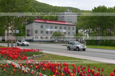 Фотография здания ФГБНУ "КамчатНИРО" в городе Петропавловске-Камчатском