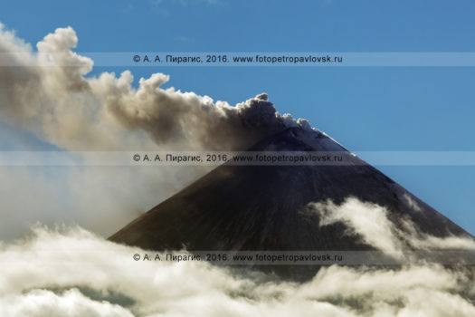 Фотография: конус извергающегося вулкана Ключевская сопка, выброс пепла, пара и газа из кратера камчатского исполина