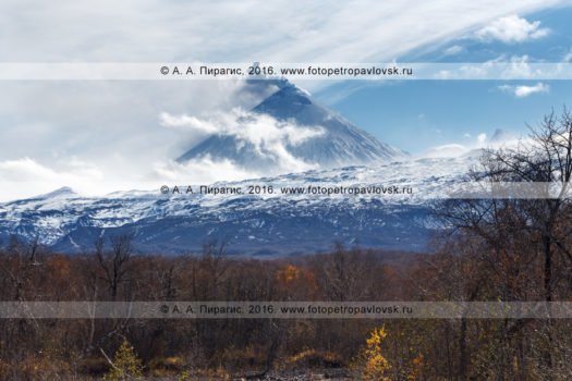 Фотография: живописный вид на извергающийся Ключевской вулкан на полуострове Камчатка