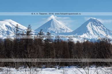 Фотография: красивый камчатский зимний пейзаж, вид на Ключевскую группу вулканов на полуострове Камчатка