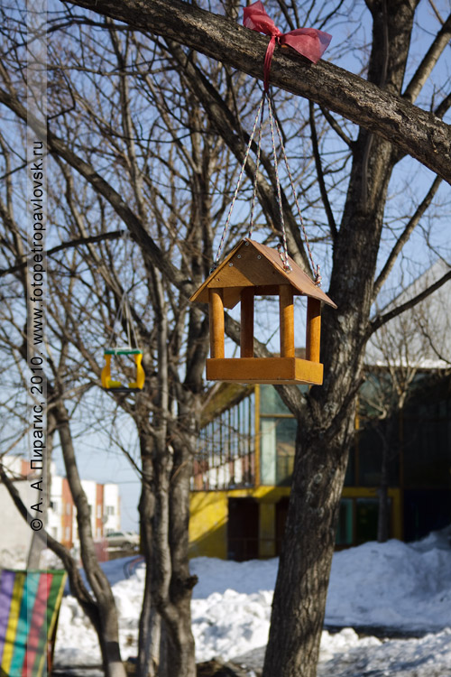 Фотография кормушки для птиц в городе Петропавловске-Камчатском