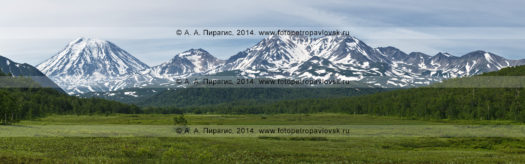 Фотография (панорама): вулкан Корякский, вулкан Арик и вулкан Ааг на Камчатке