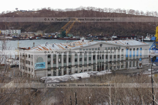 Фотография морского вокзала в Петропавловске-Камчатском