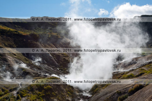 Фотографии: Дачные термальные источники на полуострове Камчатка