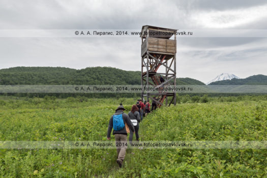 Фотографии наблюдательной вышки на Центральном кордоне природного парка "Налычево" на полуострове Камчатка
