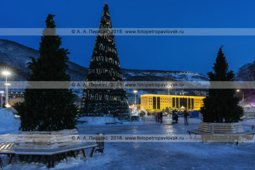 Ночные фотографии новогоднего города Петропавловска-Камчатского