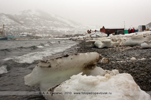 Фотографии загрязненной нефтепродуктами прибрежной полосы Авачинской губы (бухты) в городе Петропавловске-Камчатском
