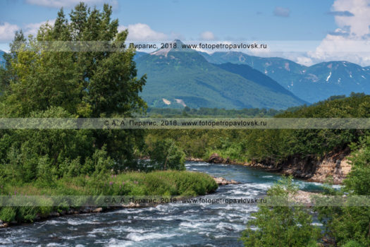 Фотографии: красивый летний вид на горную реку Паратунку в Камчатском крае