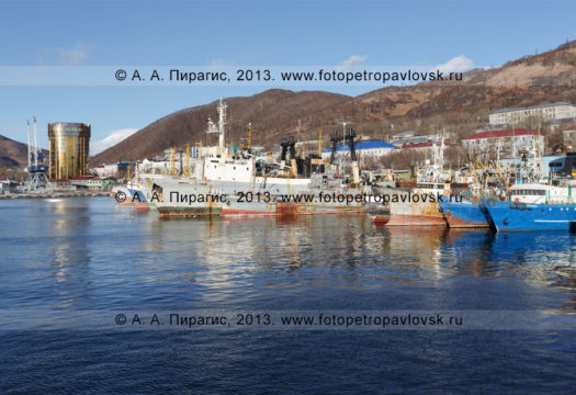 Фотография: город-порт Петропавловск-Камчатский, суда, стоящие в петропавловском порту. Камчатский край