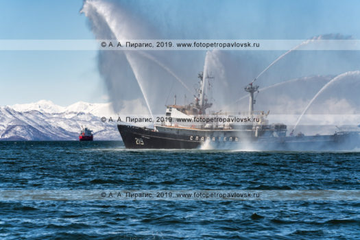 Пожарно-спасательное судно ПЖС-219 «Спасатель» аварийно-спасательного отряда Тихоокеанского флота Войск и сил на северо-востоке России