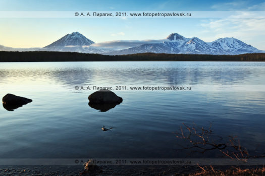 Фотография: Синичкино озеро, Корякский, Авачинский и Козельский вулканы
