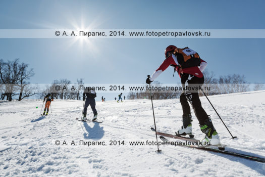 Спортивный фоторепортаж: фотографии соревнований по ски-альпинизму на полуострове Камчатка