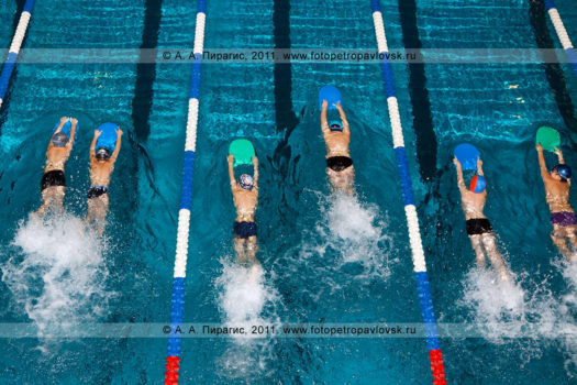 Спортивный фоторепортаж: соревнования по плаванию — детские старты на воде "Веселые осьминожки"
