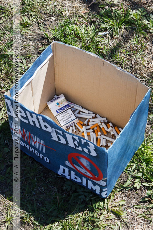Фоторепортаж: акция "Поменяй сигарету на конфету!" в городе Петропавловске-Камчатском