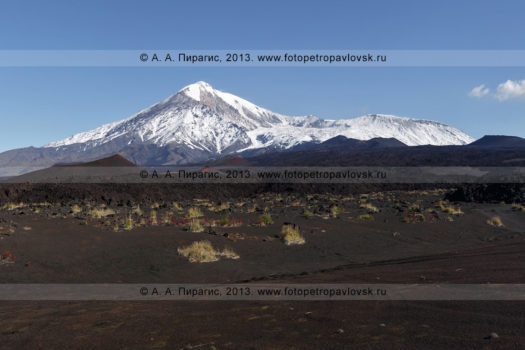Фотографии Толбачинского вулканического массива на Камчатке