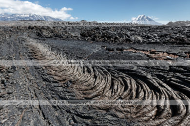 Фотографии канатной лавы Трещинного Толбачинского извержения на полуострове Камчатка