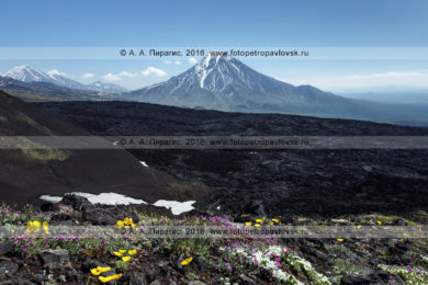 Фотография вулканического пейзажа полуострова Камчатка