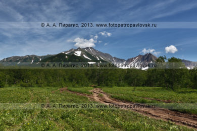 Фотография: летний камчатский пейзаж — лесная дорога к горному массиву Вачкажец на Камчатке
