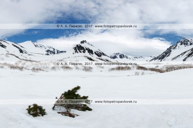 Фотография: камчатский горный пейзаж — панорамный вид на горный массив Вачкажец и озеро Тахколоч, которое только начинает освобождаться от льда и снега. Полуостров Камчатка, Южно-Быстринский хребет