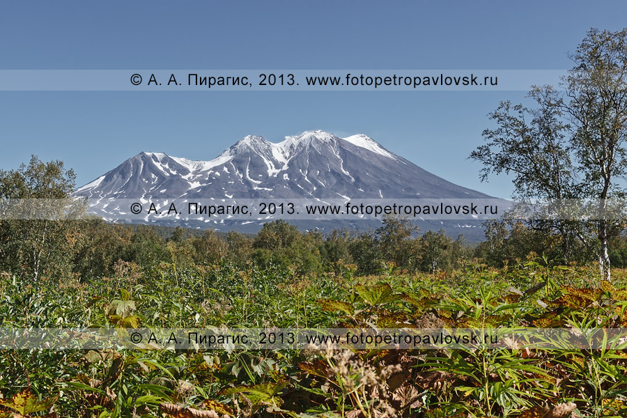 Фотография: Жупановский вулкан (Жупановская сопка), вид с Налычевской долины. Полуостров Камчатка