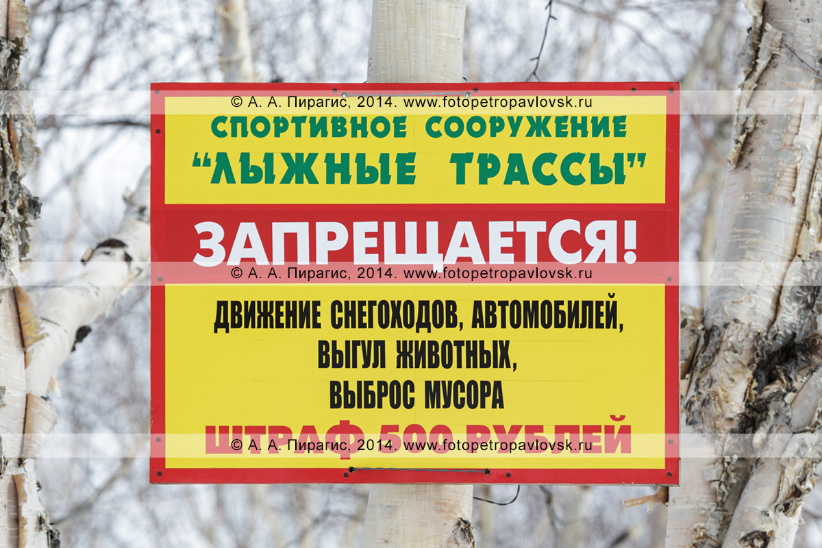 Предупреждающая табличка: "Спортивное сооружение «Лыжные трассы». Запрещается! Движение снегоходов, автомобилей, выгул животных, выброс мусора. Штраф 500 рублей"