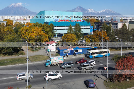 Фотография: Дворец спорта, бассейн на 9-м километре, краевое государственное автономное учреждение дополнительного образования детей "Специализированная детско-юношеская спортивная школа олимпийского резерва по плаванию" (КГАОУ ДОД "СДЮСШОР по плаванию")