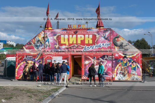Фотографии шатра цирка шапито Адреналин, очередь зрителей в кассу цирка