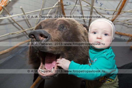 Фоторепортаж: камчатская региональная выставка "Пушнина и меха Камчатского края"