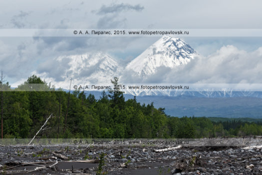 Стратовулкан Камень, Ключевская группа вулканов на полуострове Камчатка