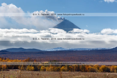 Фотография: вид на вулкан Ключевская сопка, находящийся в стадии извержения. Красивый осенний пейзаж полуострова Камчатка
